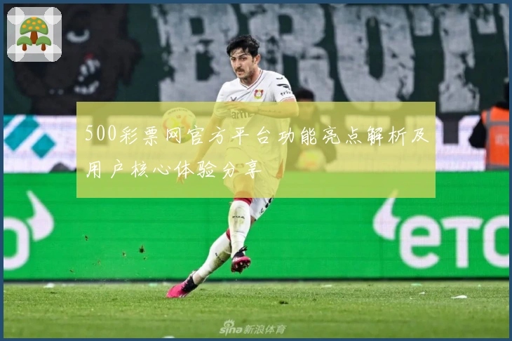 500彩票网官方平台功能亮点解析及用户核心体验分享