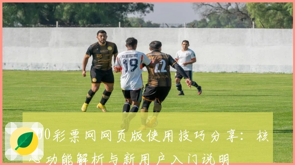 500彩票网网页版使用技巧分享：核心功能解析与新用户入门说明